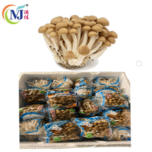 MUSHROOM SHIMEJI Brown Buna