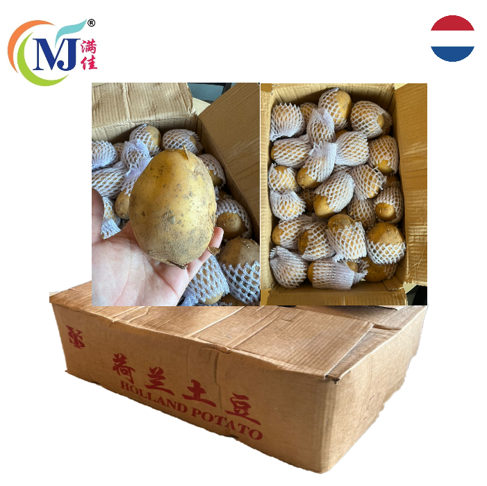 来自荷兰的土豆