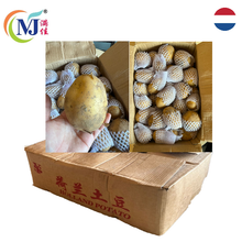 来自荷兰的土豆