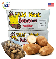 POTATO RUSSET USA