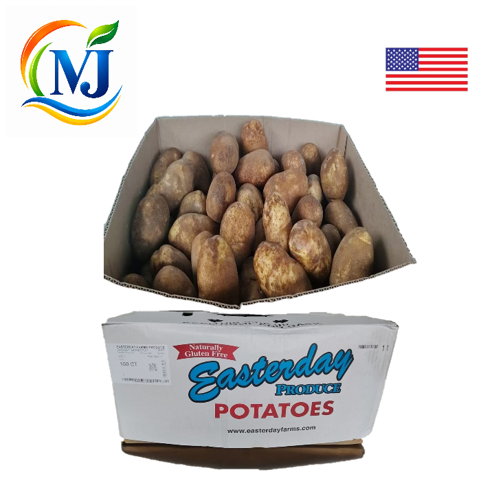 POTATO RUSSET WHITE USA Farm