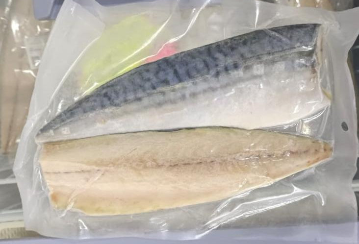 鱼片鲭鱼 A