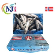 新西兰蓝鲭鱼 SABA (按公斤出售)