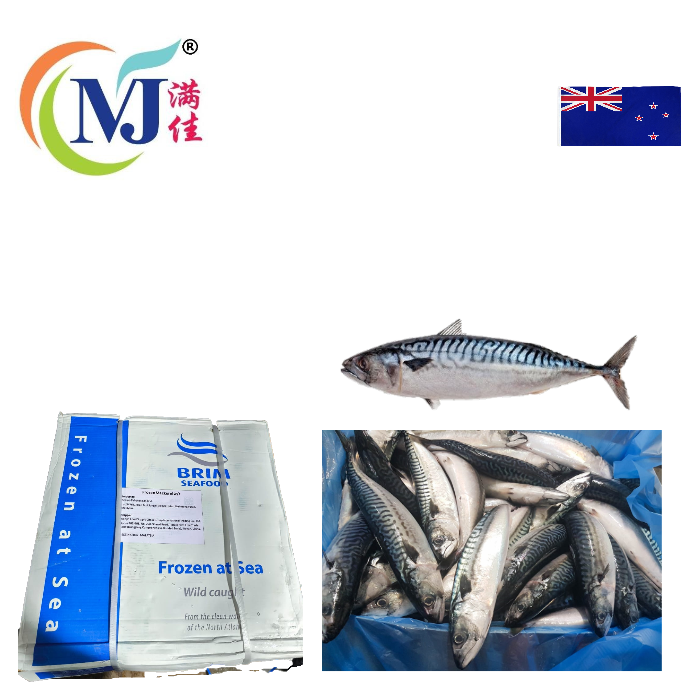 新西兰蓝鲭鱼 SABA (按公斤出售)