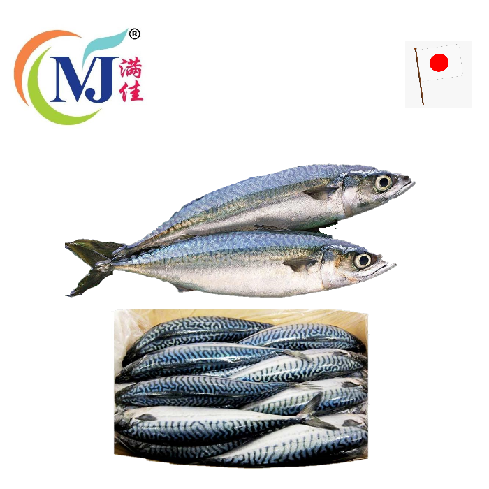 新西兰蓝鲭鱼 SABA (按公斤出售)