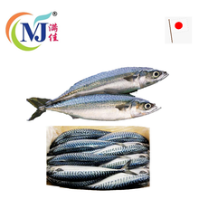 新西兰蓝鲭鱼 SABA (按公斤出售)