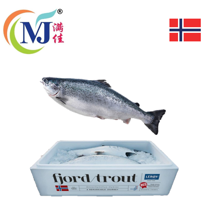 FISH SALMON WHOLE Fresh Norwegian