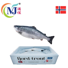 FISH SALMON WHOLE Fresh Norwegian