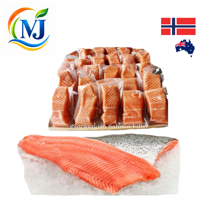 FISH FILLET SALMON Skin-On