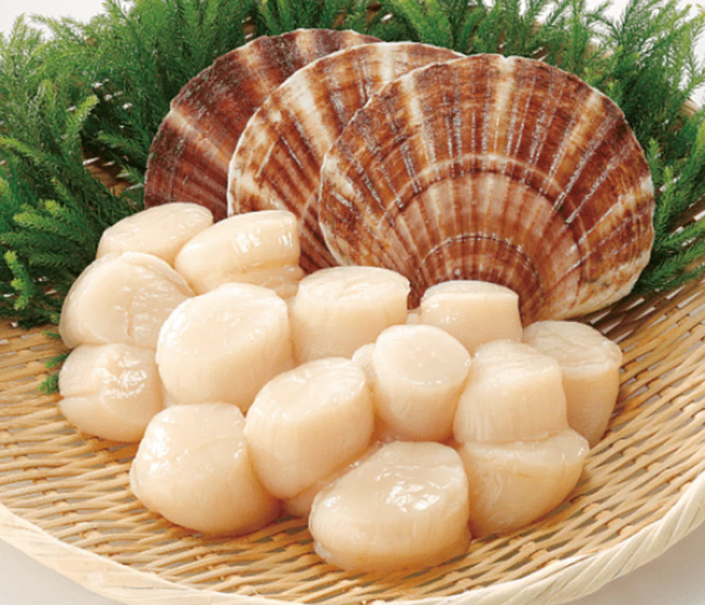 SCALLOP MEAT HOKKAIDO Japan