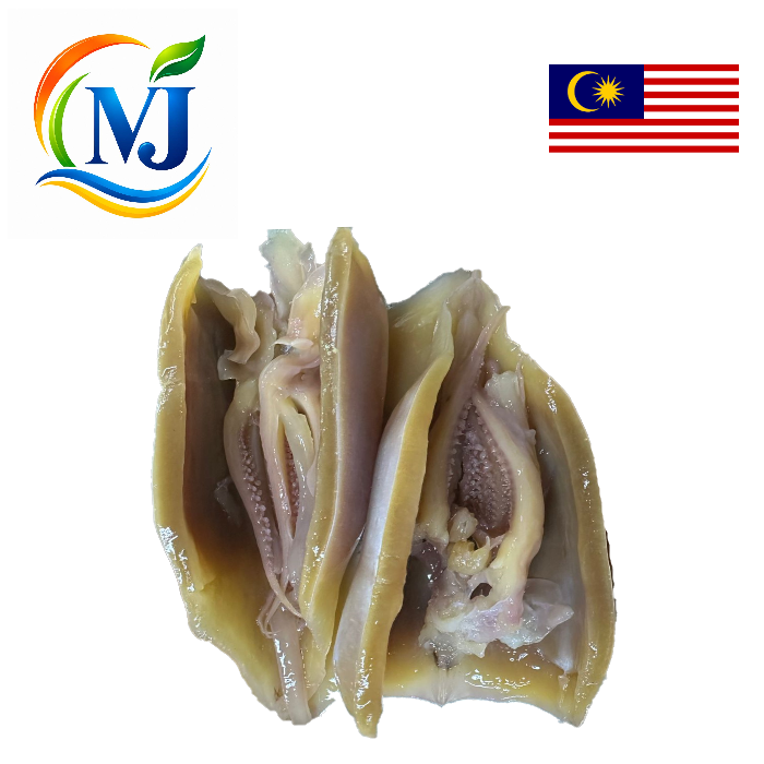 SOTONG KEMBANG/Rendam PUTIH 新鲜
