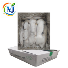 SOTONG Argentina Frozen