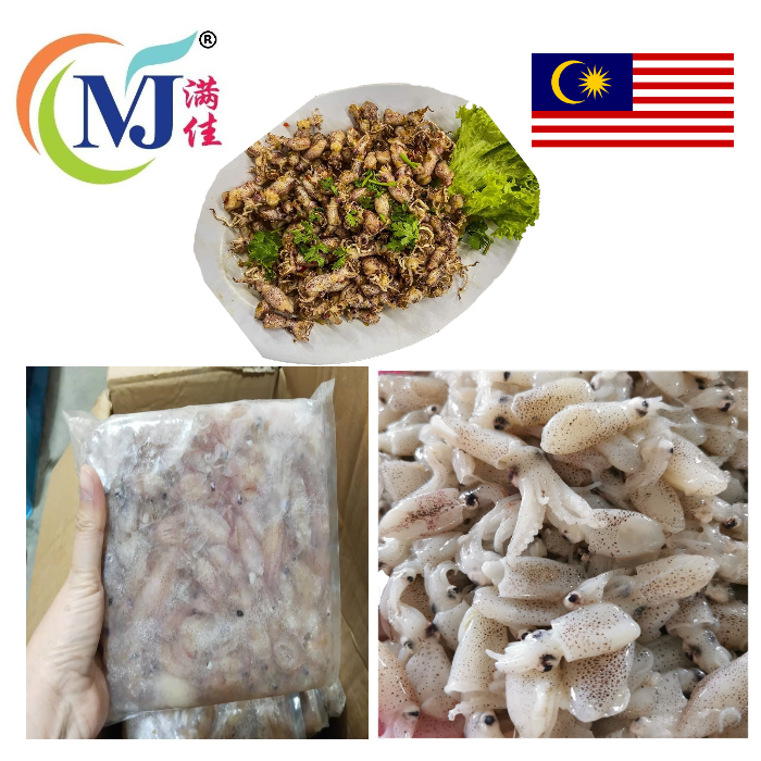 SQUID MINI/GOLDEN 苏东珠 500g+-/pack