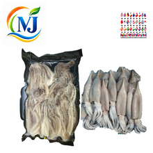 SQUID HEAD White