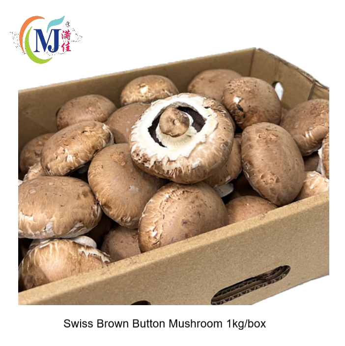 纽扣蘑菇 SwissBrown