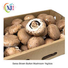 纽扣蘑菇 SwissBrown