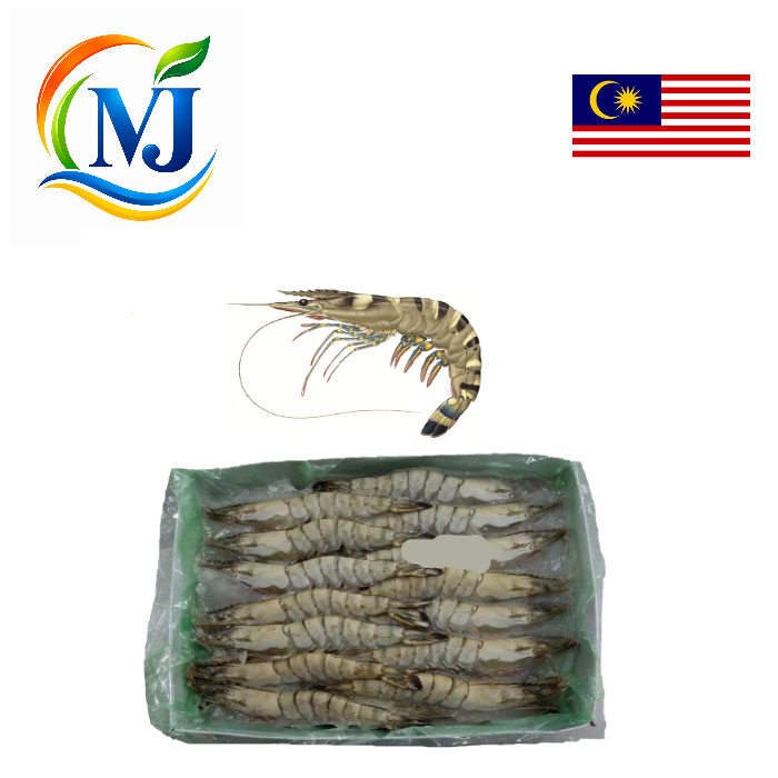 PRAWN TIGER BLUE Frozen