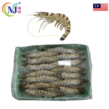 PRAWN TIGER BLUE Frozen