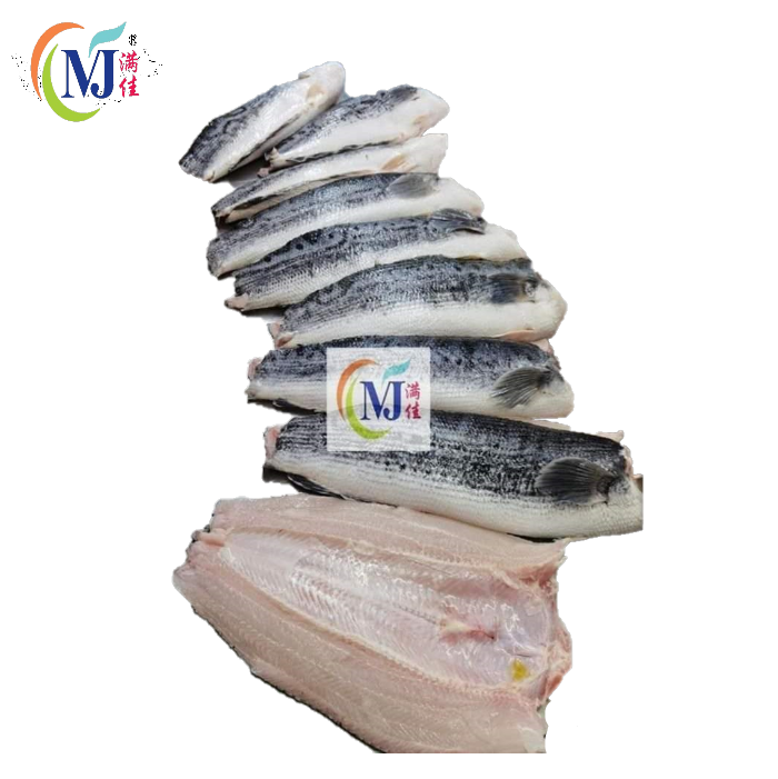 FISH FILLET TOMAN/Snakehead 多鳗鱼片 冷冻