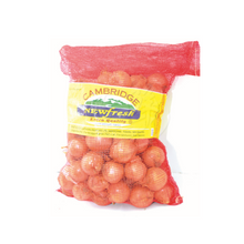 BAWANG KUNING BESAR Holland