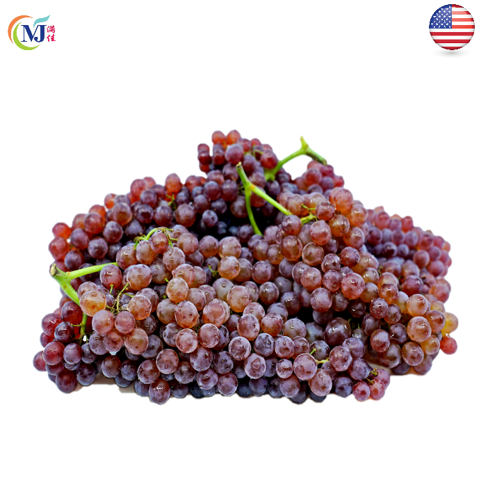 GRAPE/Anggur CHAMPAGNE Purple US 454g/pack