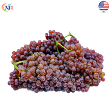 GRAPE/Anggur CHAMPAGNE Purple US 454g/pack