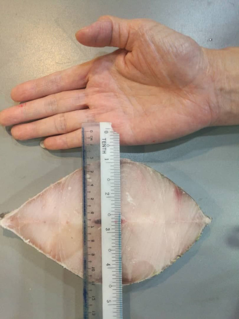 FISH TENGGIRI Frozen