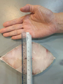 FISH TENGGIRI Frozen