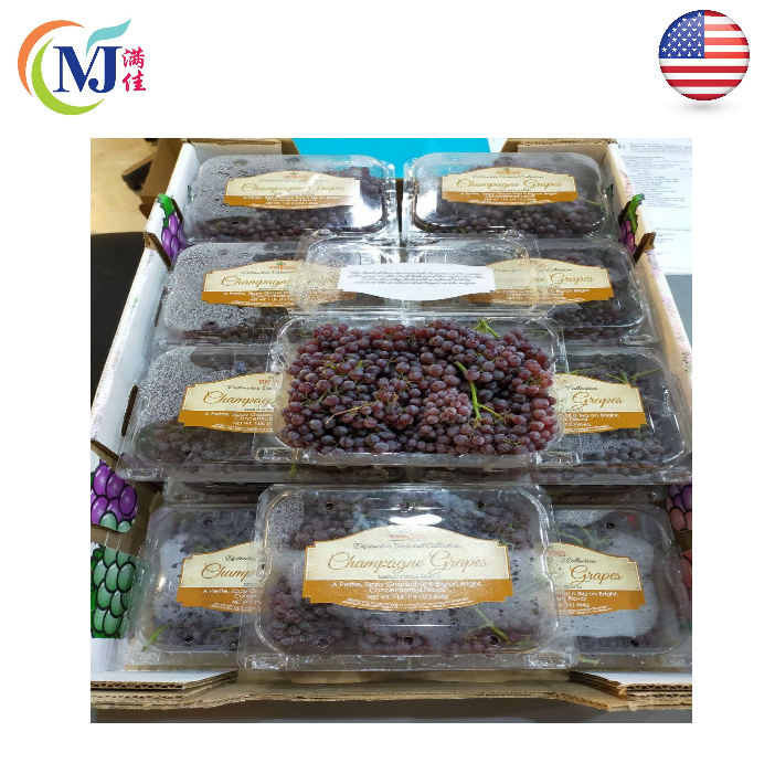 GRAPE/Anggur CHAMPAGNE Purple US 454g/pack