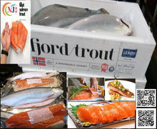FISH SALMON TROUT WILD Norway FRESH
