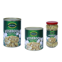 BUTTON MUSHROOM Brown Slice 2.8kg/tin
