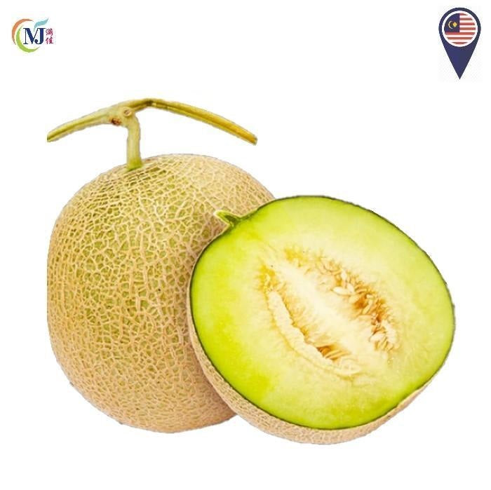 MAS MELON Japanese Cultivation ''Organic Harvest''