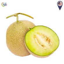 MAS MELON Japanese Cultivation ''Organic Harvest''
