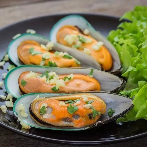 MUSSEL GREEN 1/2 Shell New Zealand Frozen