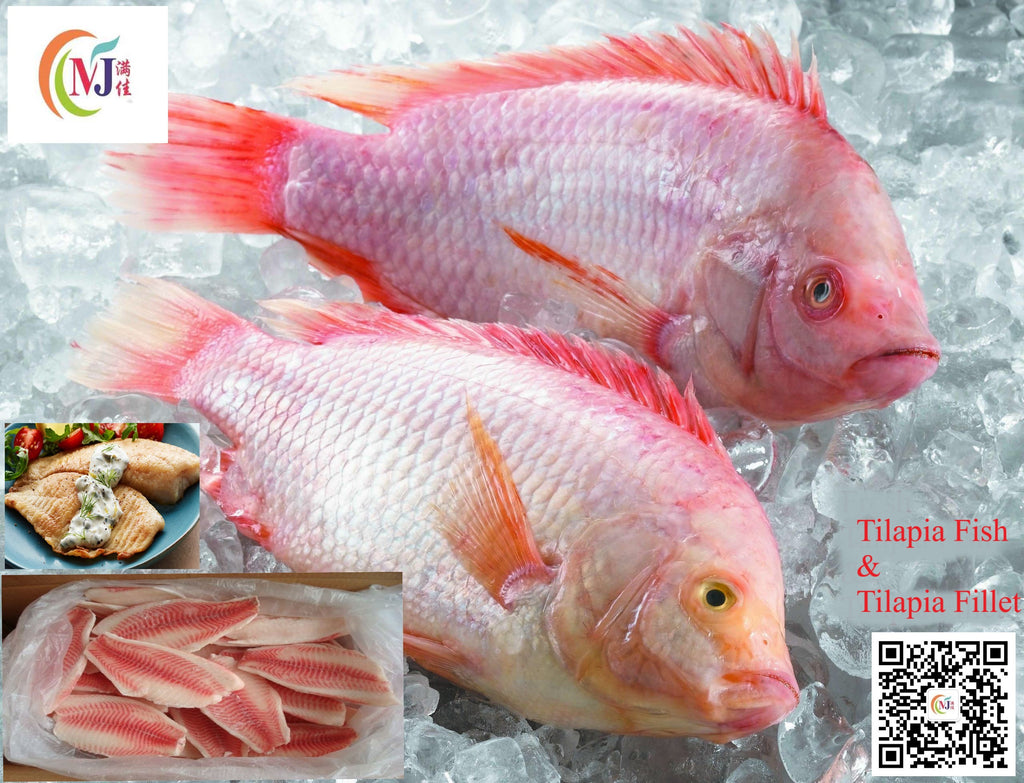 FISH FILLET TILAPIA Premium200g+- 10kg/ctn