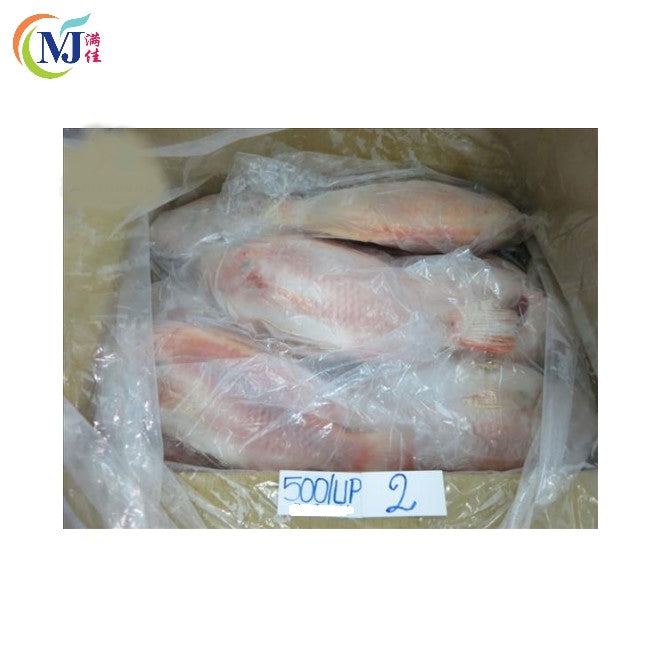 FISH TILAPIA RED Frozen