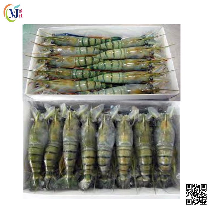 FRESH Water Prawn/Udang Galah U10 9pcs/pack VIETNAM