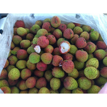 LYCHEE Fresh