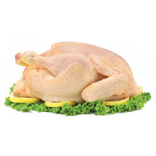 CHICKEN VILLAGE 公鸡 (1.3kg-1.5kg+-) 按公斤出售