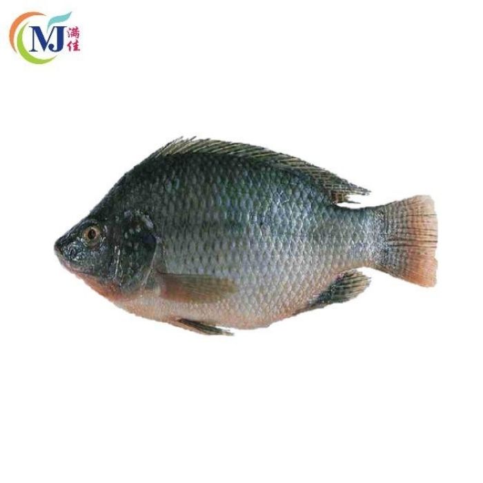 FISH TILAPIA BLACK Fresh (200g-400g) Sold per kg
