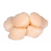 SCALLOP MEAT SEASONED Japan 500g/pack