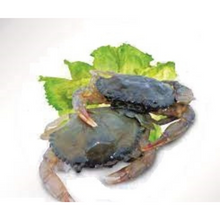 CRAB SOFT SHELL Indo (100g+-) 10pcs (Sold by kg)