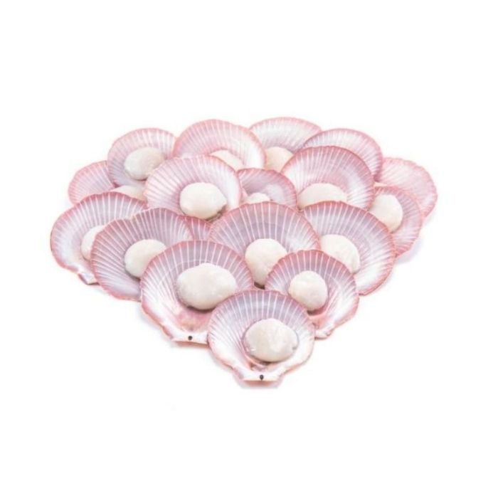 SCALLOP PINK 1/2 Shell 500g/pack