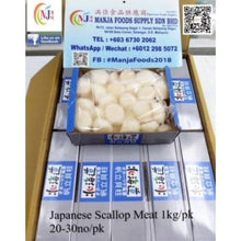 扇贝肉 北海道 日本