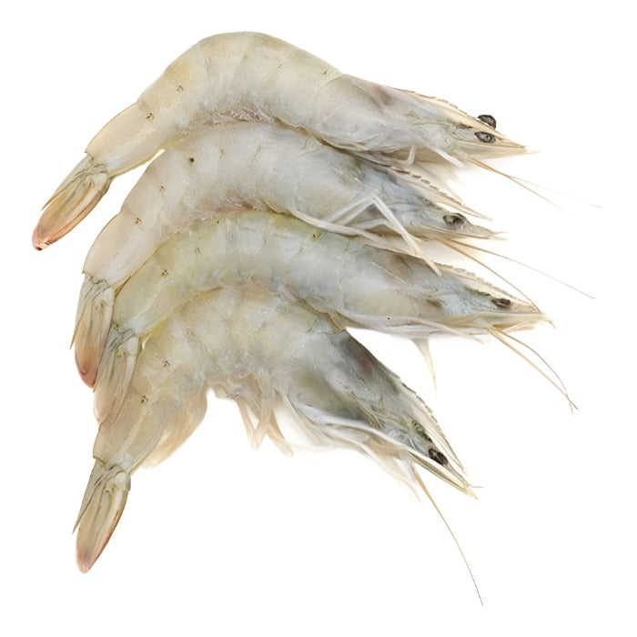 PRAWN WHITE Fresh (Sold by kg)