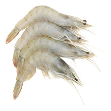 PRAWN WHITE FRESH