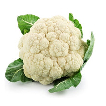 CAULIFLOWER / KOBIS BUNGA White China