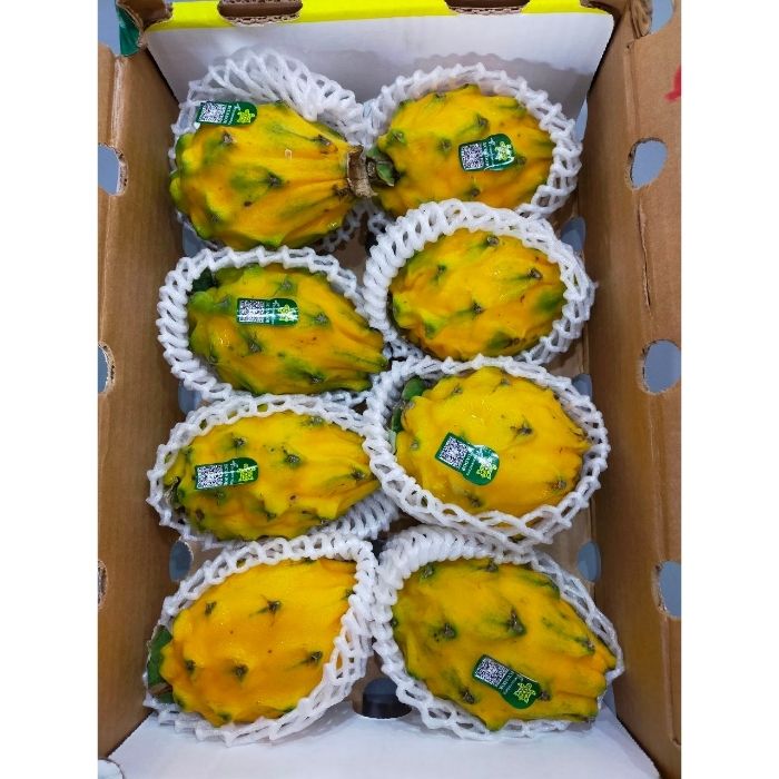 DRAGON FRUIT Yellow ( PITAHAYA )