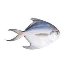 FISH BAWAL Putih/White Pomfret ''Fresh'' 200g-400g/no (Sold by kg)