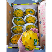 DRAGON FRUIT Yellow ( PITAHAYA )